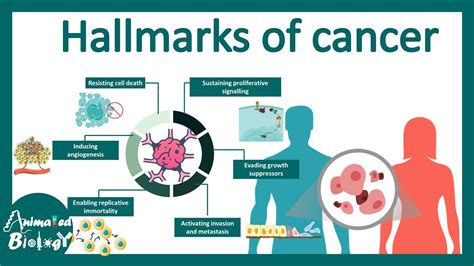 Hallmarks Of Cancer What Are The Defining Features Of Cancer Cells