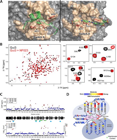 Solution Nmr Reveals Structural Perturbations In G I Upon Nf