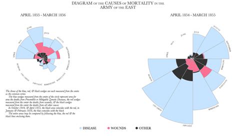 Florence Nightingale Diagram