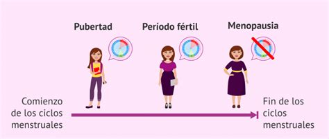 Qu Significa Ser F Rtil Y Qu Factores Influyen En La Fertilidad