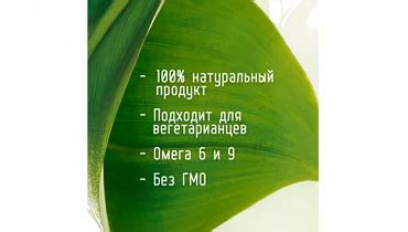 Вегамасло De olio Лайм и масло авокадо 72,5% 220 г с бесплатной ...