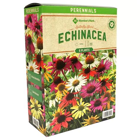 Members Mark Echinacea Butterfly Blend Plants Sams Club