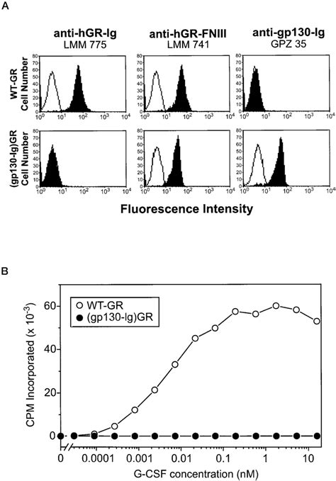 Characterization Of The Chimeric Gp Ig Gr Receptor A Flow