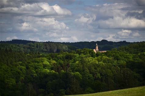 Grodno Castle Forest Mountain - Free photo on Pixabay - Pixabay