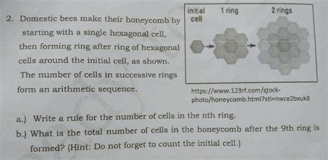 Solved Domestic Bees Make Their Honeycomb By Starting With A Single Hexagonal Cell Then