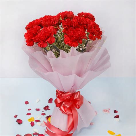 12 Red Carnations | Winni