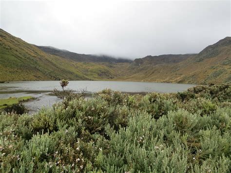 New System of Protected Areas in Ecuador’s Pichincha Province