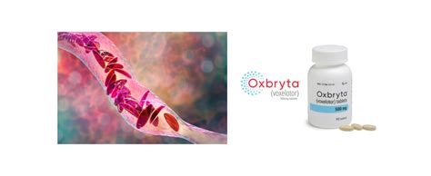 Oxbryta Increased Haemoglobin And Reduced Haemolysis In Adults And