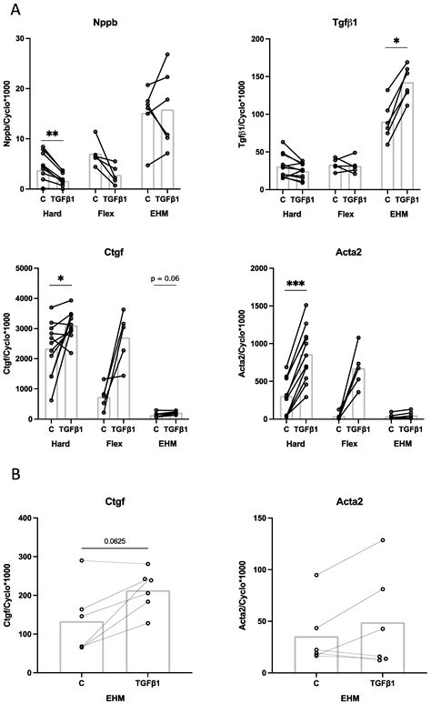 Bioengineering Free Full Text Culturing Of Cardiac Fibroblasts In