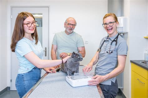 Tier Rztliche Beratung Tierklinik Aarau West