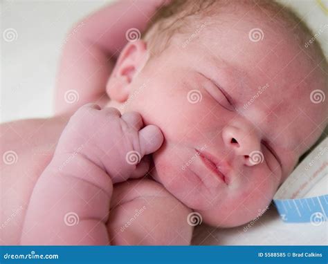 Newborn Baby Royalty Free Stock Photo - Image: 5588585