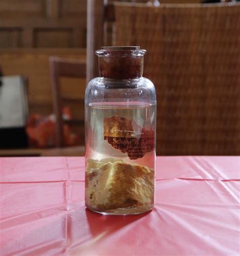 Kentucky meat rain mystery remains a bizarre piece of history 35