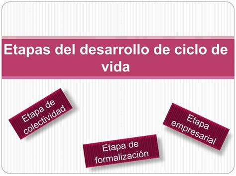 Ciclo De Vida Organizacional Ppt