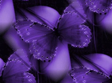 🔥 [73 ] Purple Butterfly Background Wallpapersafari