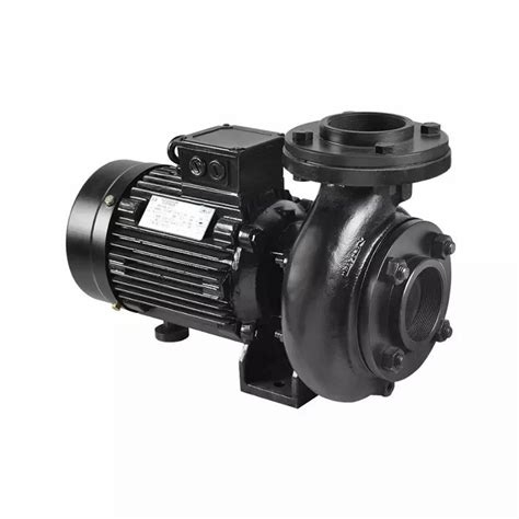 Lubi 4 HP Single Phase Class F Monoblock Pump Model Name Number LBI