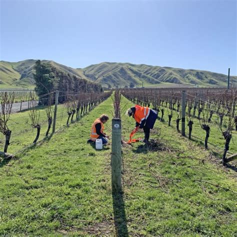 Sustainable Winegrowing Bragato Research Institute