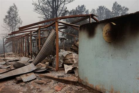 Incendios Forestales Nuevo Balance Víctimas Fatales Aumentaron A 26