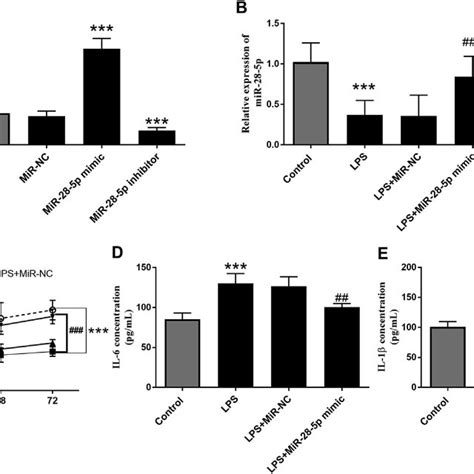 Increased Mir P Significantly Attenuated Lps Induced Damage In