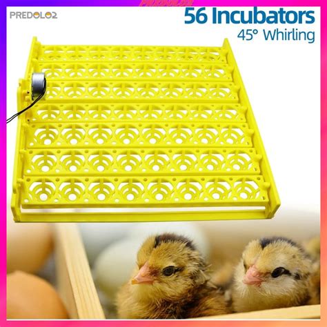 Predolo Automatic Quail Egg Turner Tray With V V Motor