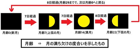 月齢とは？月齢と月の満ち欠けの関係をわかりやすく図で解説！