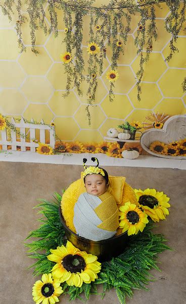 Sunflower Theme Raika Photography