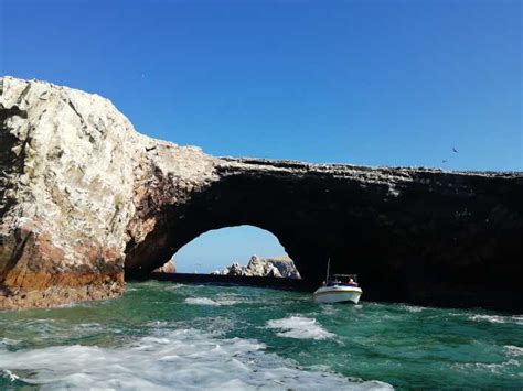 From Lima Ballestas Islands Paracas Reserve And Museum Tour Getyourguide