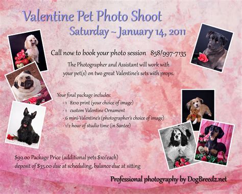 Welcome to the DogBreedz Blog!: Valentine's Pet Photo Shoot