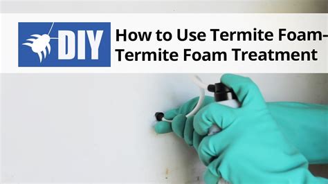 How To Use Termite Foam Termite Foam Treatment Youtube