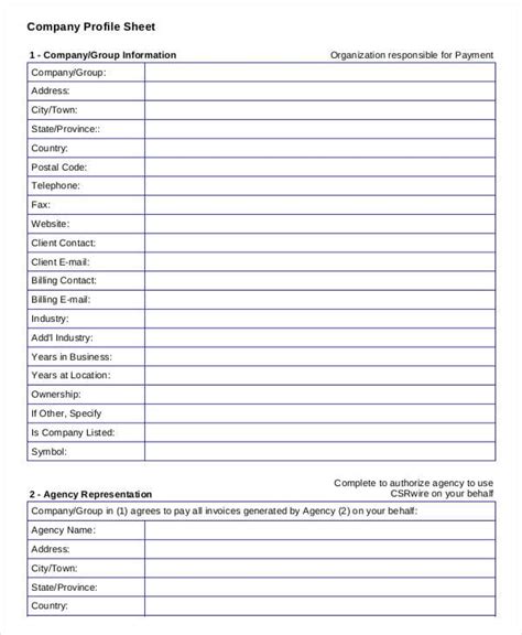 Company Information Sheet Template