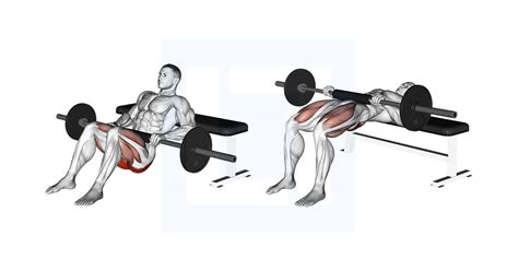 Barbell Hip Thrust Guide Benefits And Form