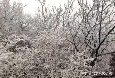 北京迎来2021年第一场雪！附上美图 知乎