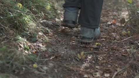 Walking Through Muddy Farmland Person S Feet Trudging Through Wet