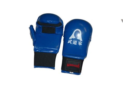 Sparring Karate Mitt Blue