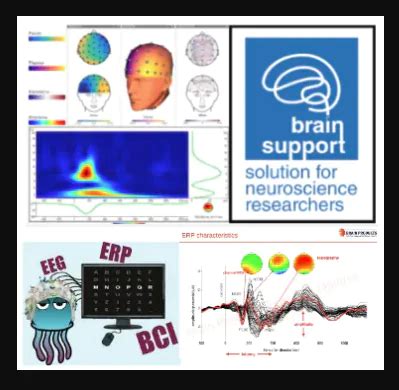 Eeg Data Analysis Eeg Fmri Eeg Microstates Eeg Erp Bci Fft P N