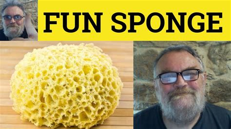 🔵 Fun Sponge Meaning Fun Sponge Examples Fun Sponge Definition