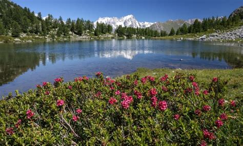 Due Itinerari Per Scoprire La Valle D Aosta In Mountain Bike Speciale