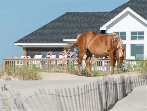 Top Outer Banks Attractions - OuterBanks.com