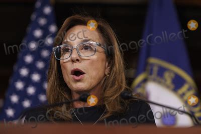 Photos And Pictures United States Representative Lisa C Mcclain