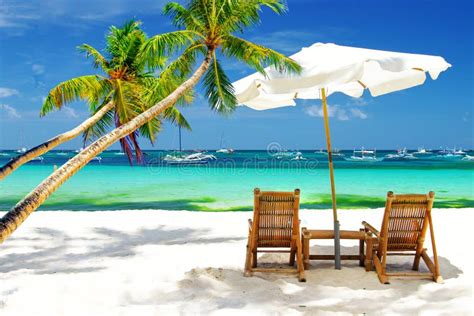 Tropical Holidays Royalty Free Stock Images Image 13942529