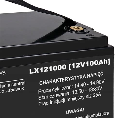 Аккумулятор 12V 100AH AGM мощный необслуживаемый купить на Avtoex из ...