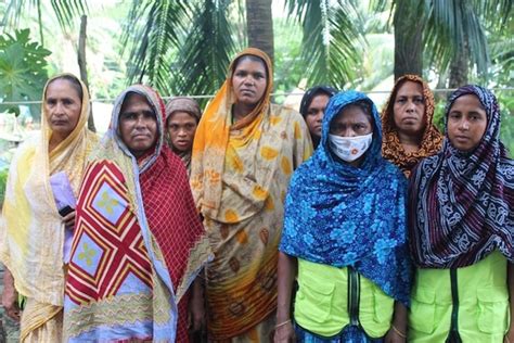 Cooperative Farming Makes Bangladesh’s Coastal Women Farmers Climate ...