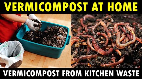 How To Make Vermicompost At Home How To Make Vermicompost From