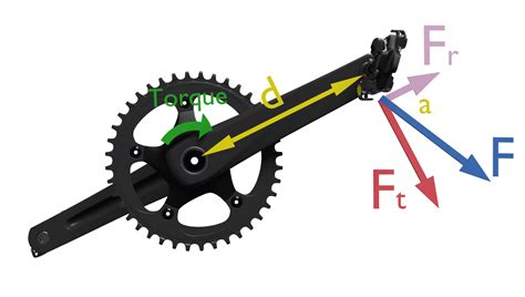 Fuerzas Sobre El Pedal Momento De Torsión O Torque