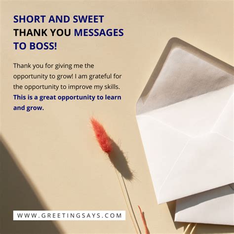 Best Thank you Messages for Boss