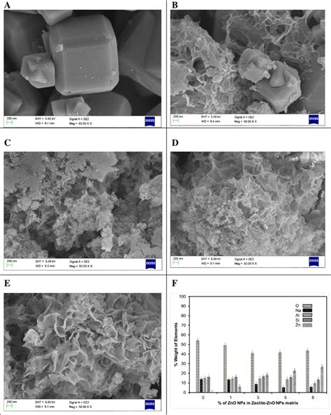 Surface Morphology For Zeolite And Zno Nps Entrapped With Zeolite