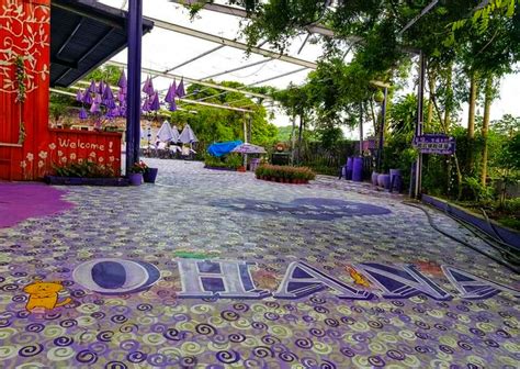 Ohana Café Where Relaxing Nature And Good Food Meets Purple In Taiwan ...