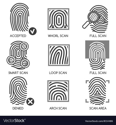 Fingerprint identification icons Royalty Free Vector Image