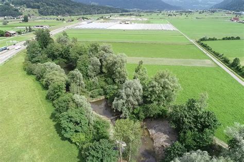 Ökologische Aufwertung Amphibienlaichgebiet Reumeren Ökobüro