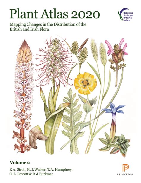 Plant Atlas 2020 Botanical Society Of Britain Ireland