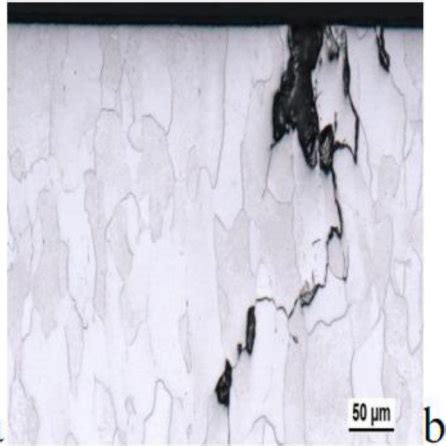 SEM Image Of The Tungsten Surface Exposed To 150 Plasma Pulses Of